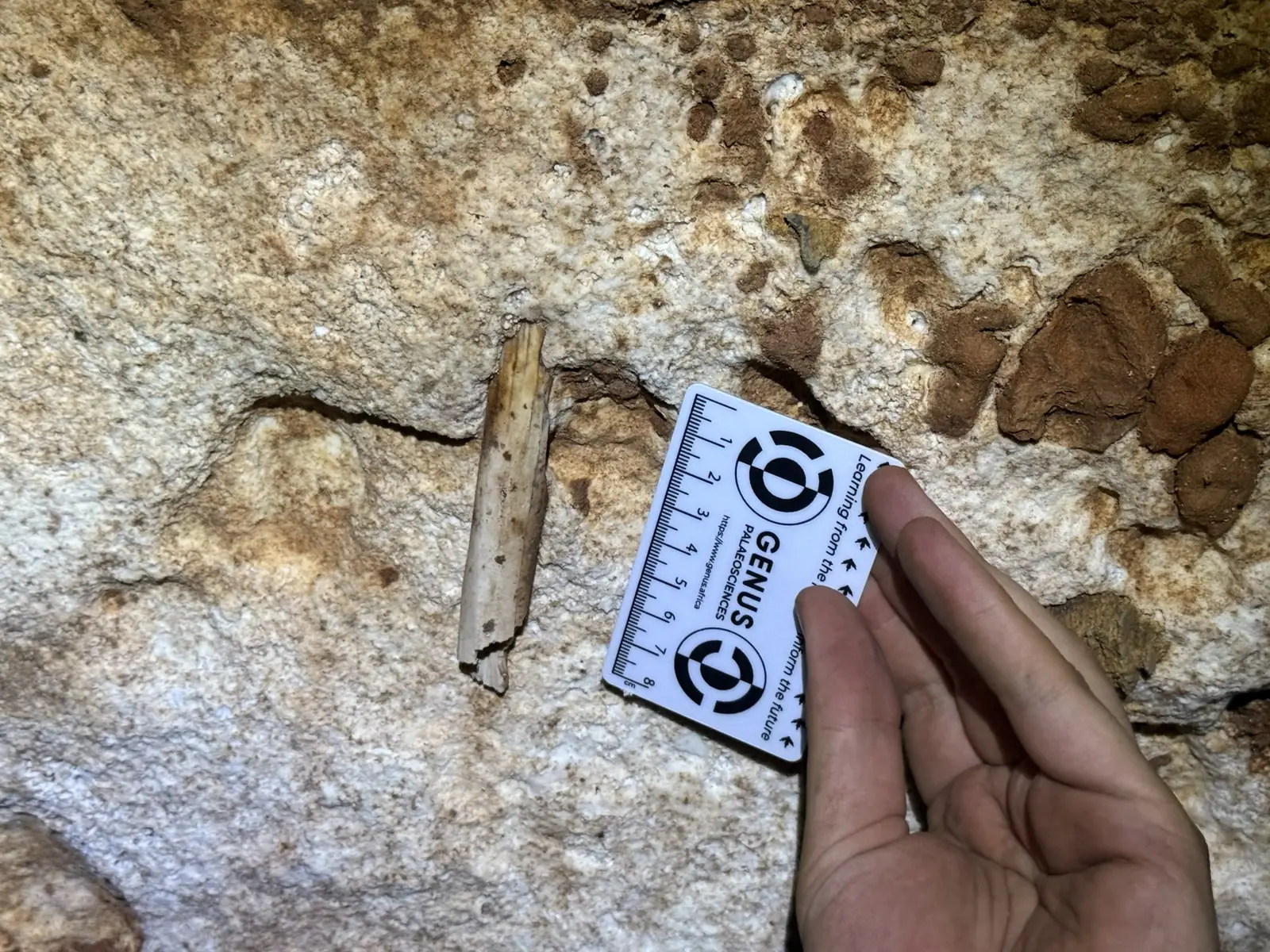PAL-Huíla — fotografia 19
